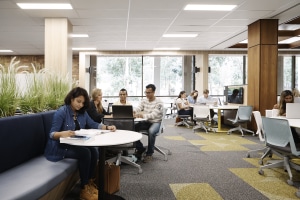 university of newcastle australia campus