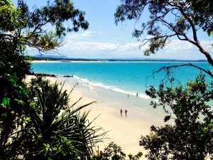 tafe sunshine coast