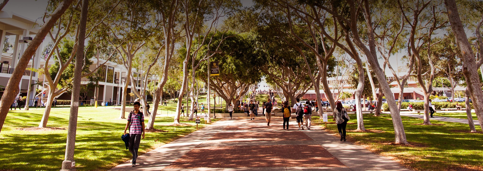 California State University Long Beach