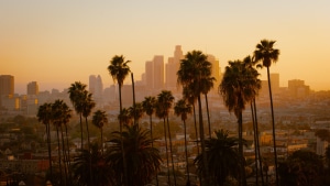 los angeles