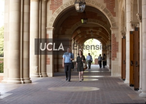 ucla extension