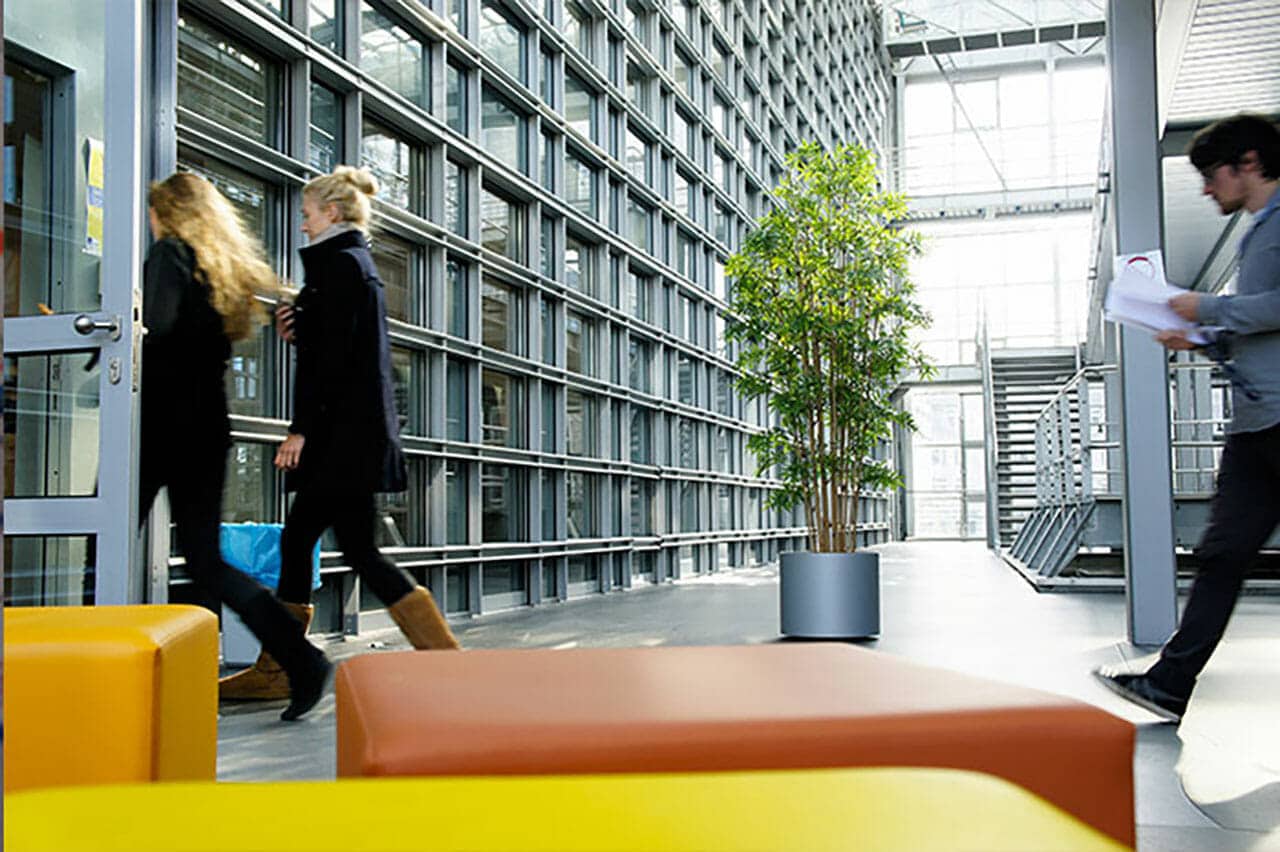 macromedia university