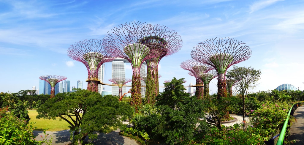 Curtin University Singapore
