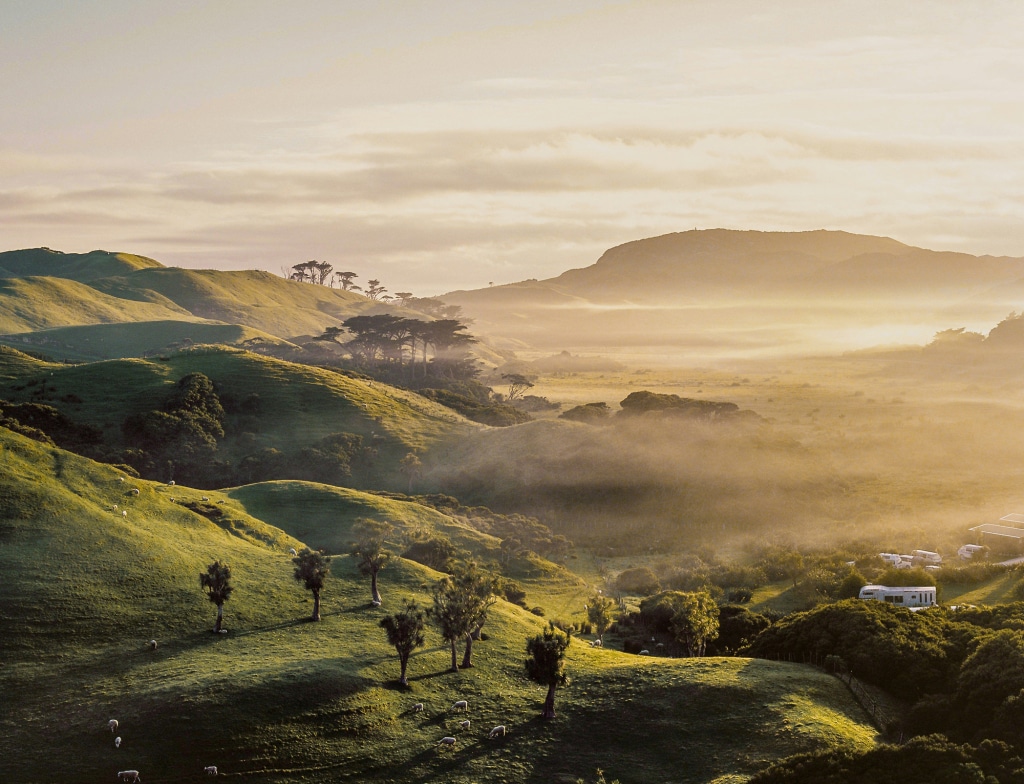 Massey University