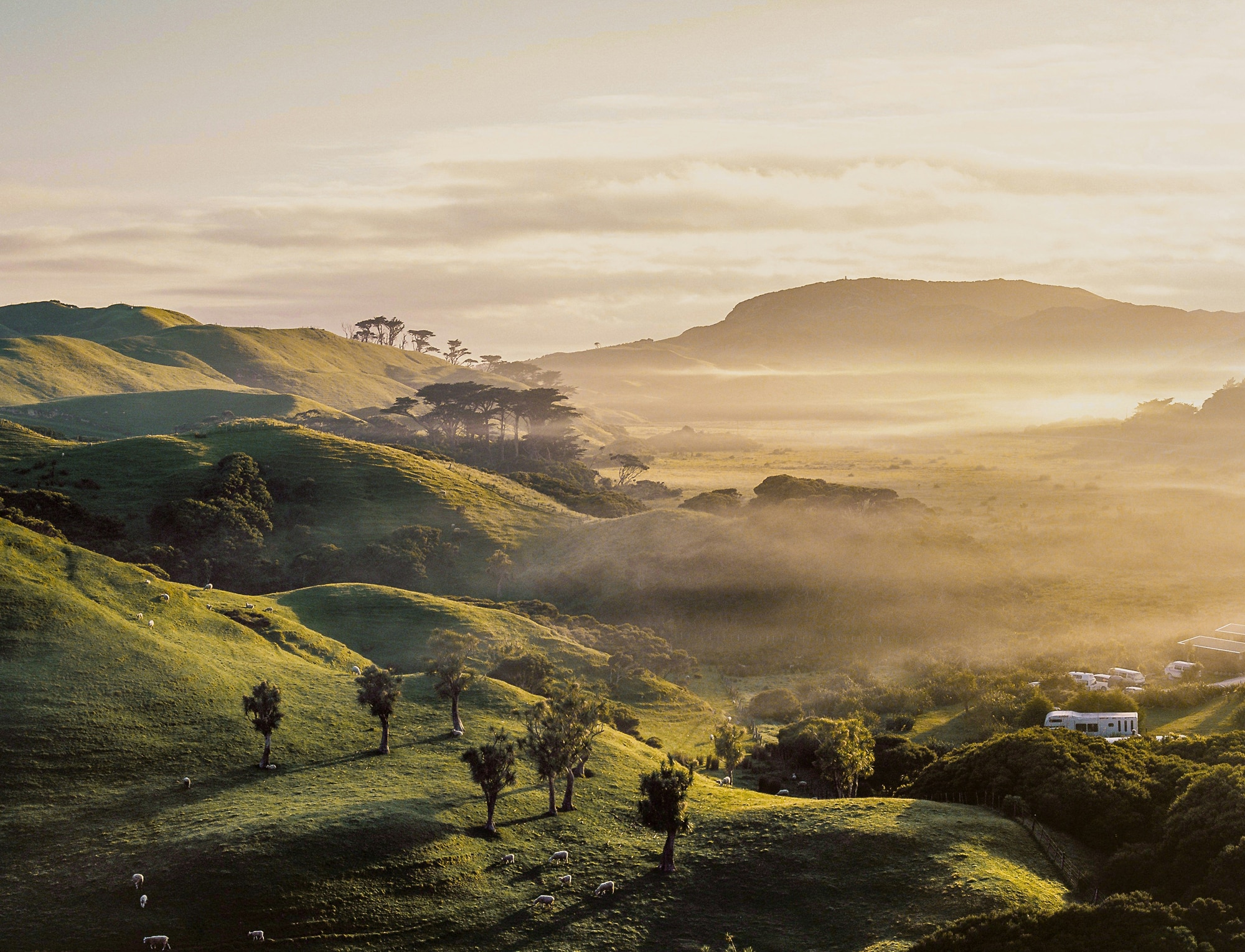 new zealand landscape