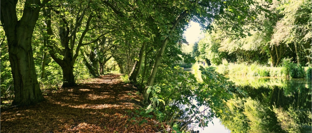 Essex