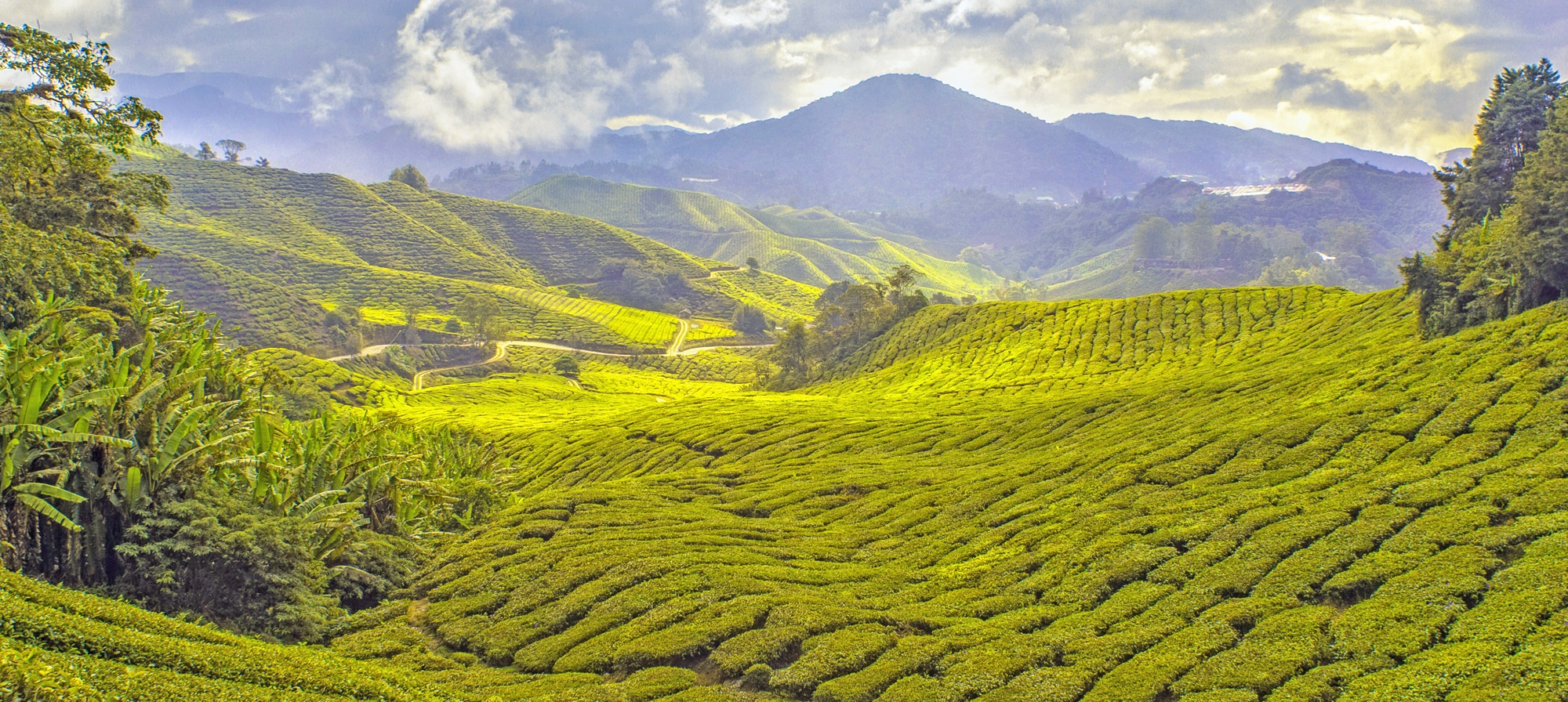 Malaysia