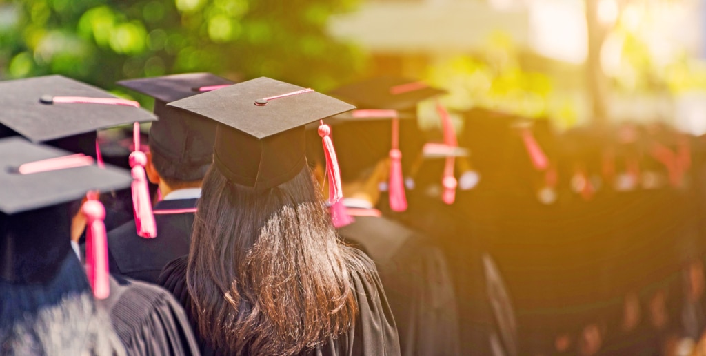 Bachelor Degree