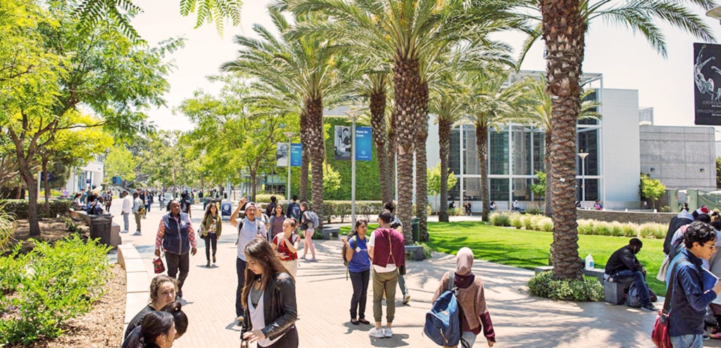 Community College