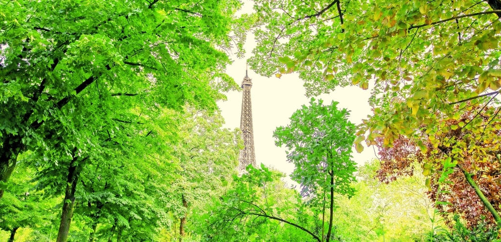 Sommarkurser Frankrike Paris School of Business