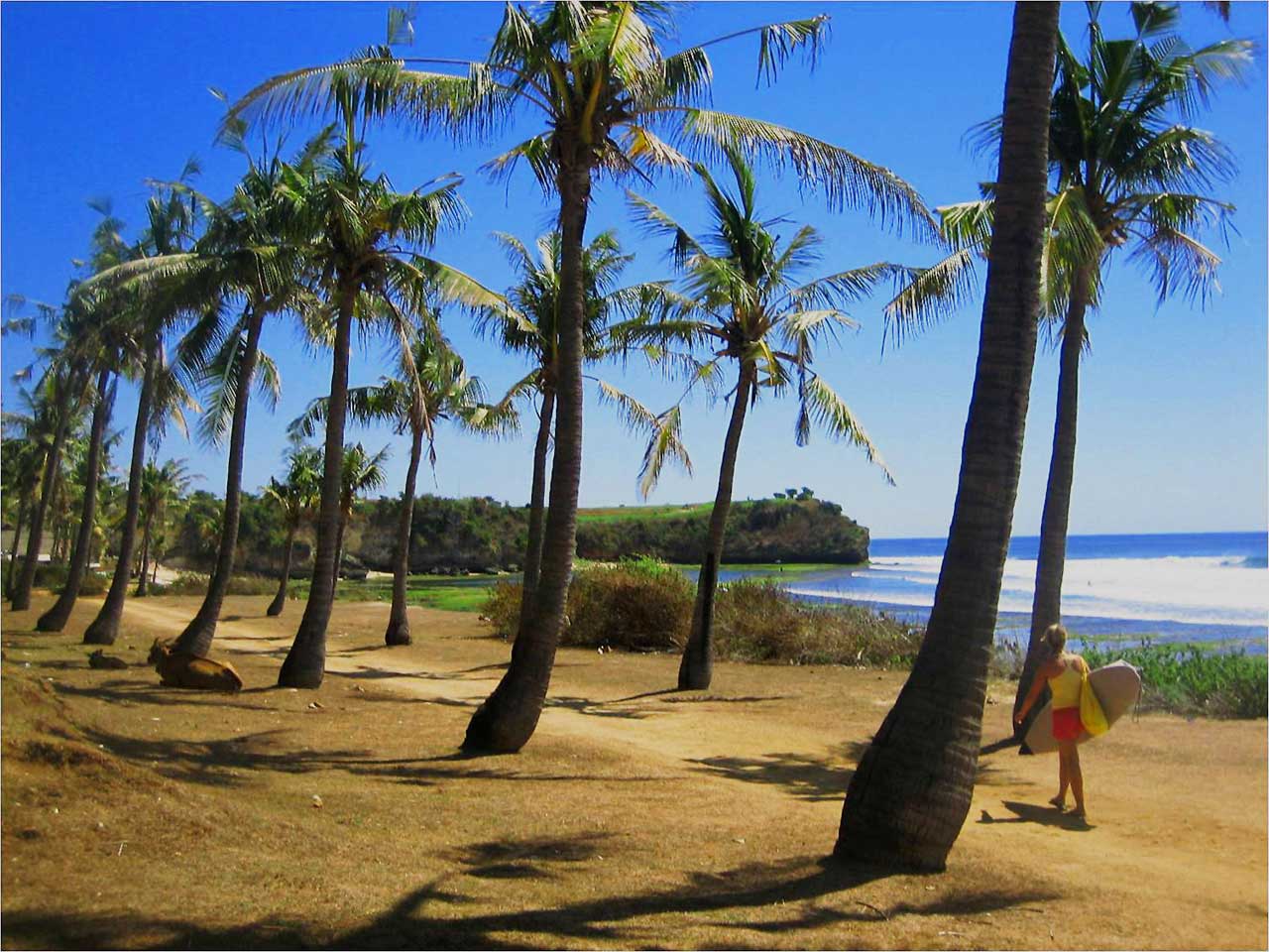 studera på bali universitet udayana university