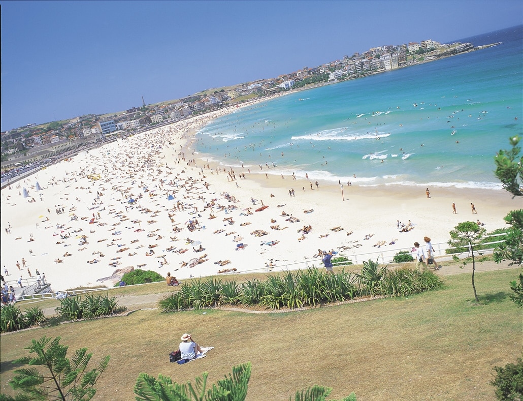 Studera i Sydney - Bondi beach