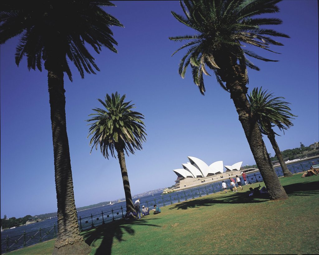 Studera i Sydney - Botanical Gardens