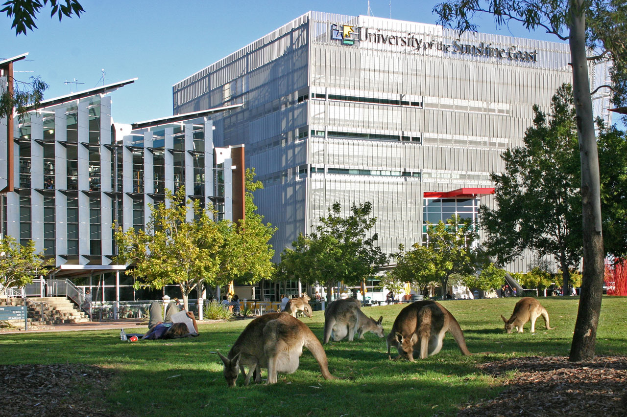 university-of-the-sunshine-coast-unisc-study-in-australia