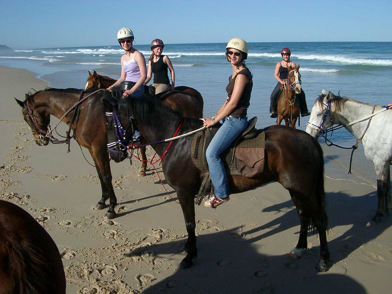 språkresa australien byron bay