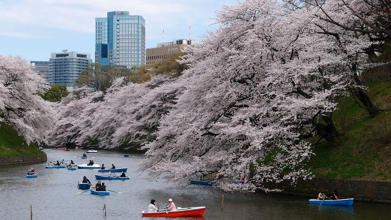 plugga japanska språkkurs japanska i japan tokyo