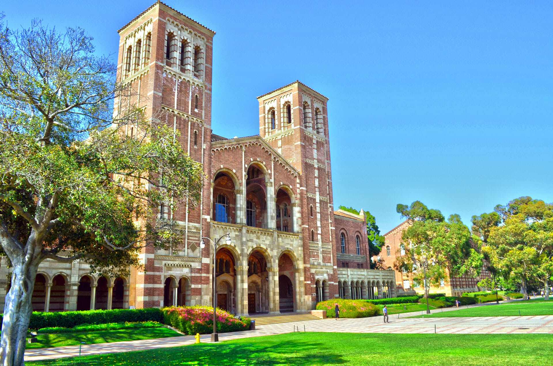 ucla university of california los angeles