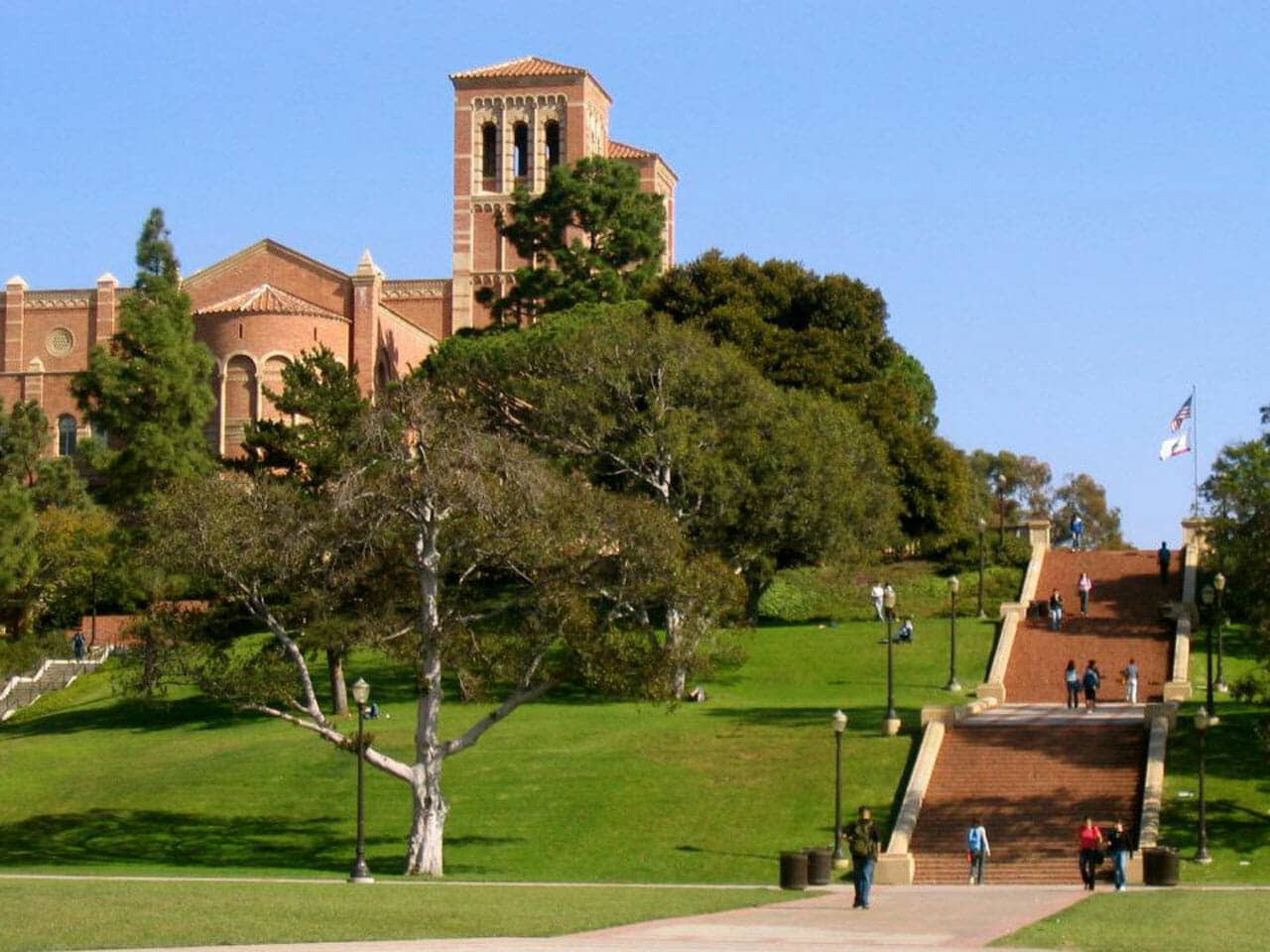 ucla university of california