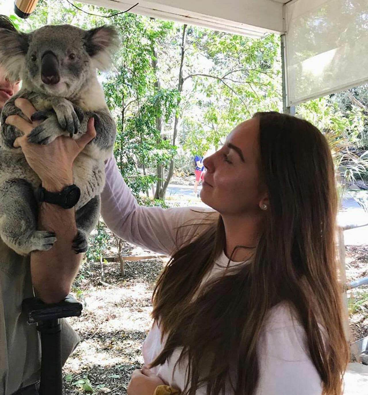 studera på tafe queensland