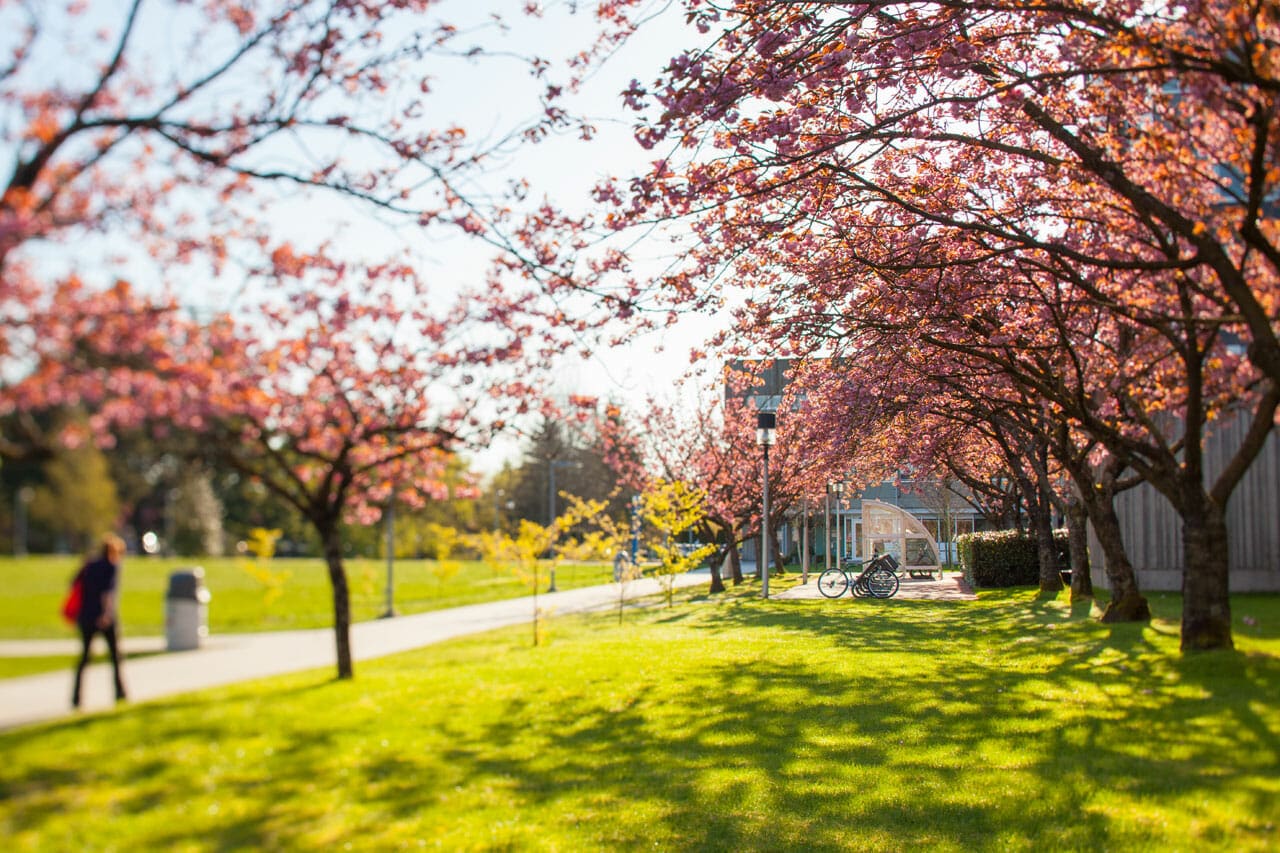 studera kanada langara college