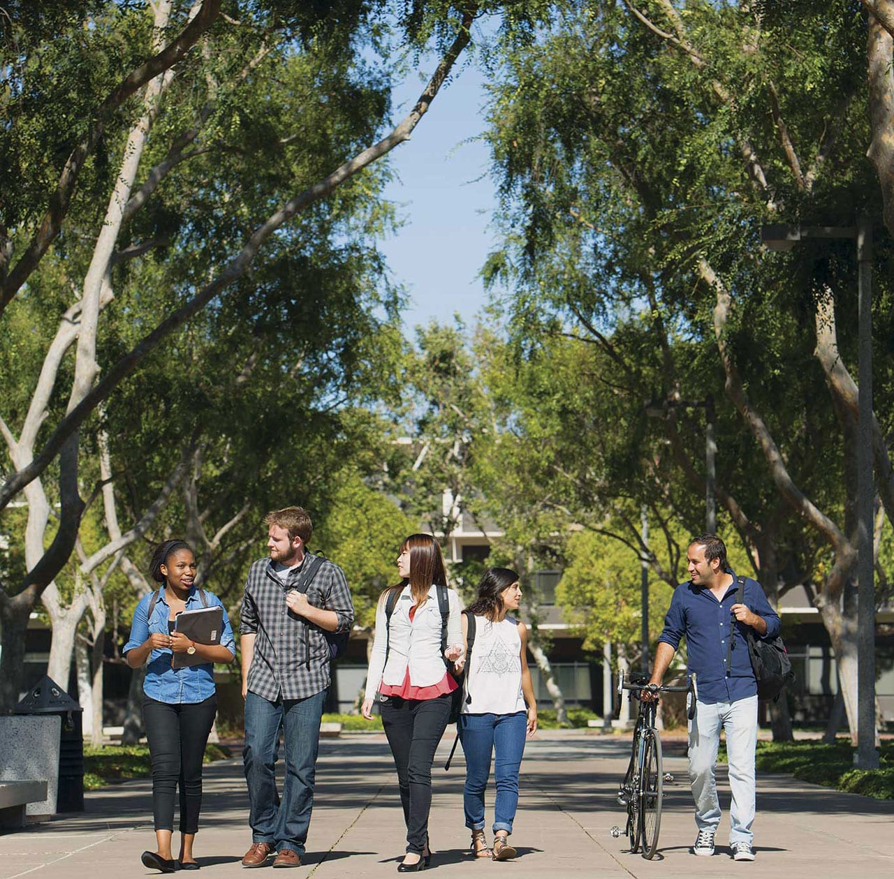 california state university long beach