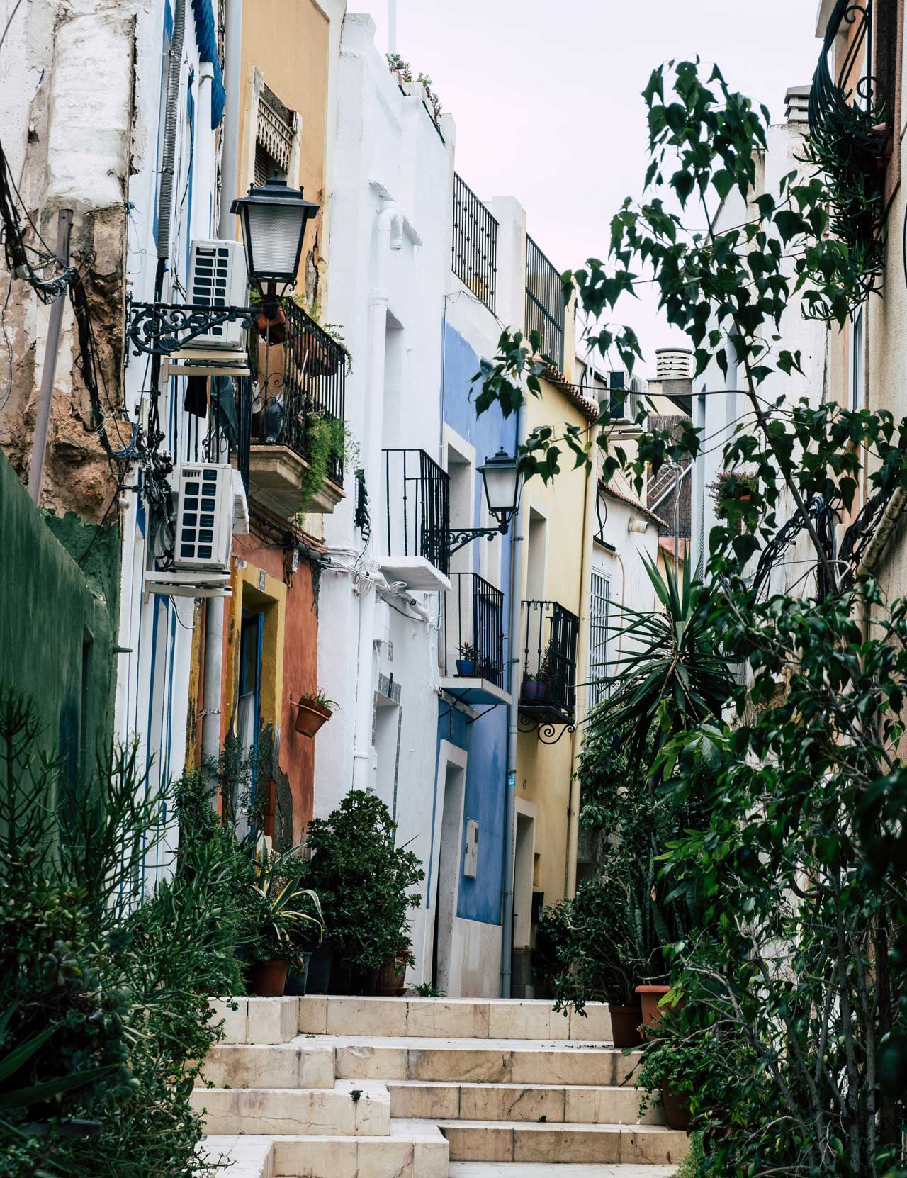 studera spanska i spanien alicante