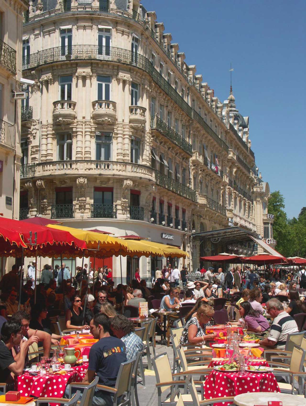 studera franska frankrike montpellier 