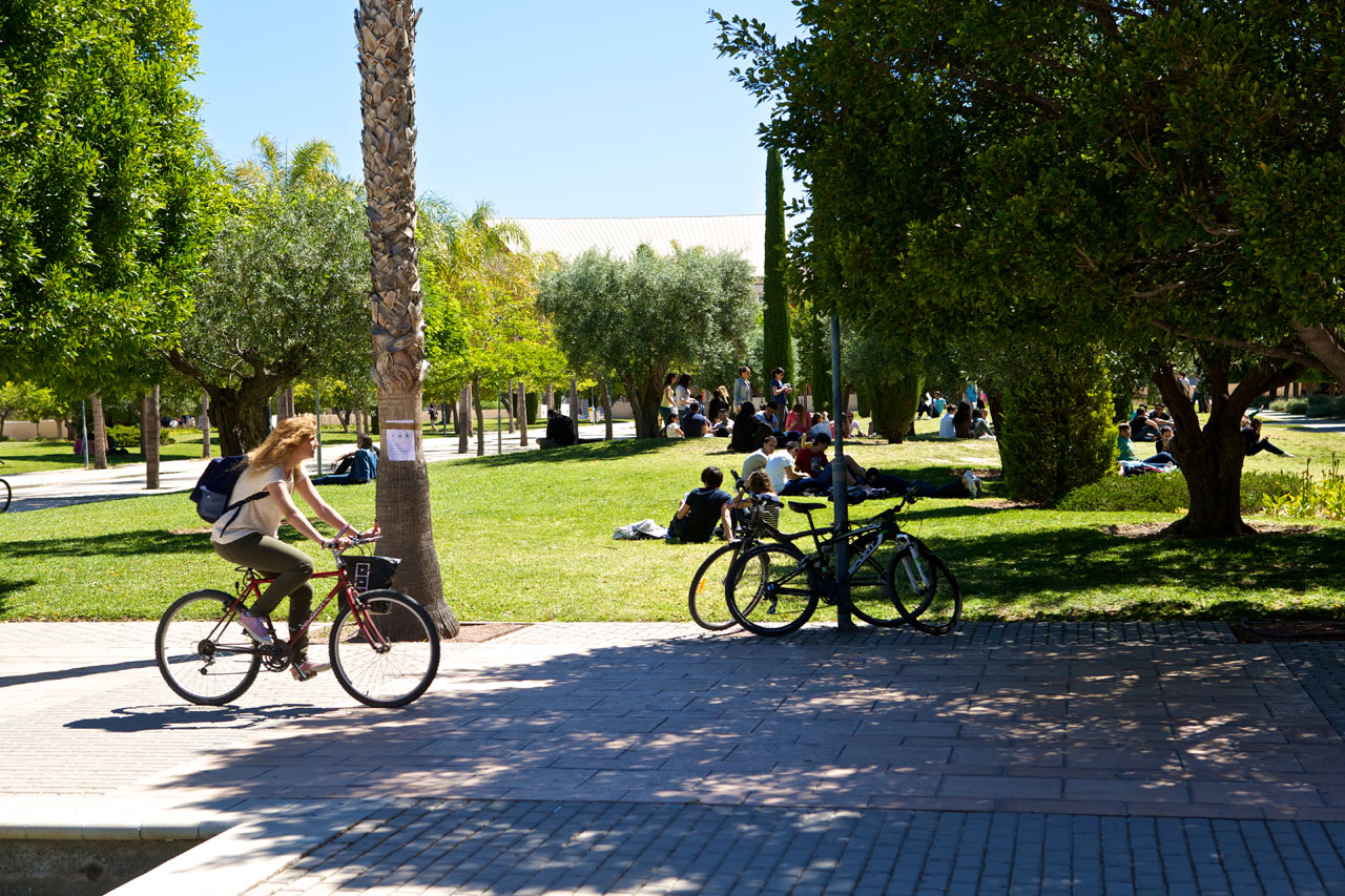 studera i spanien universidad de alicante