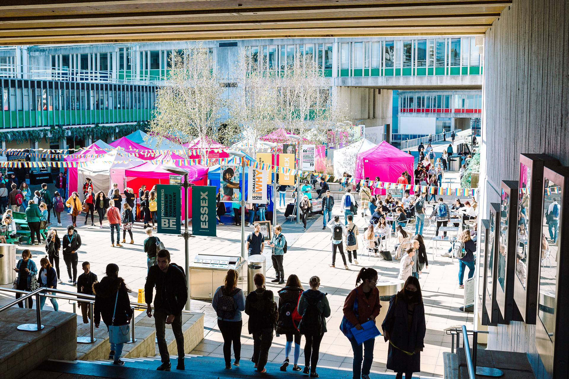 university of essex