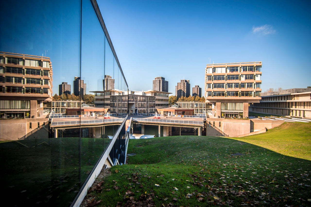 university of essex